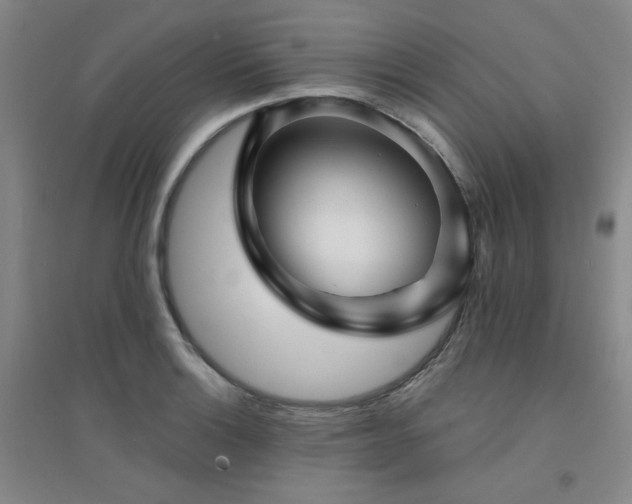 X0000094421132200711151314