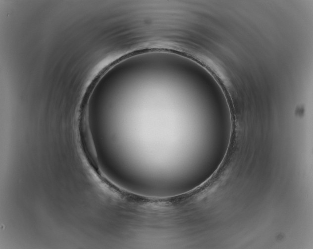 X0000094421133200711151314
