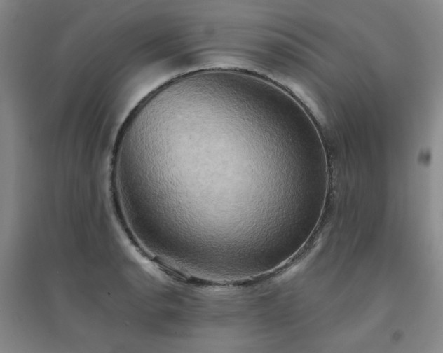 X0000094421134200711151314