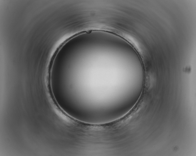 X0000094421136200711151314