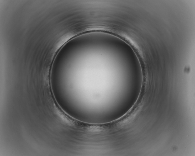 X0000094421137200711151314