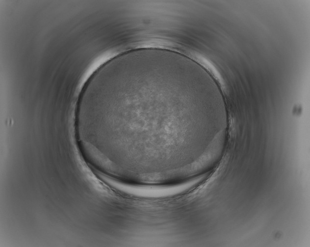 X0000094421138200711151314