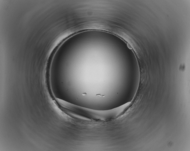 X0000094421139200711151314