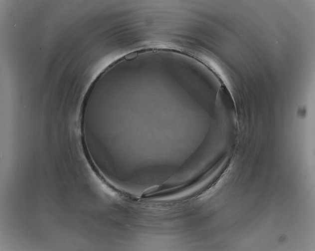 X0000094421141200711151314