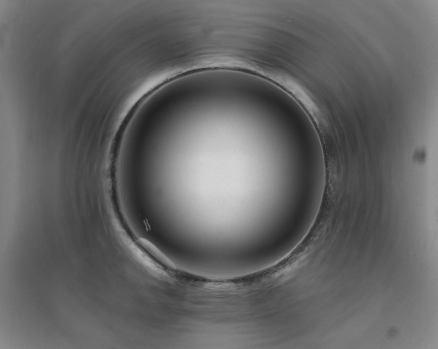 X0000094421142200711151314