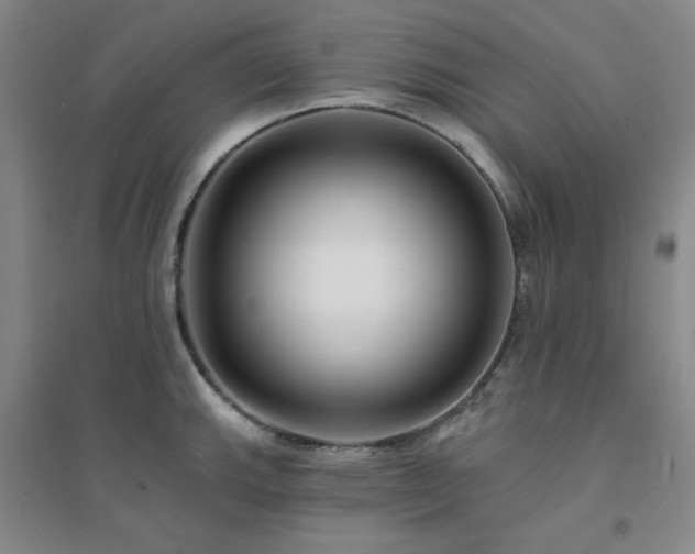 X0000094421143200711151314