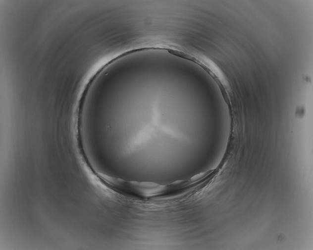 X0000094421144200711151314
