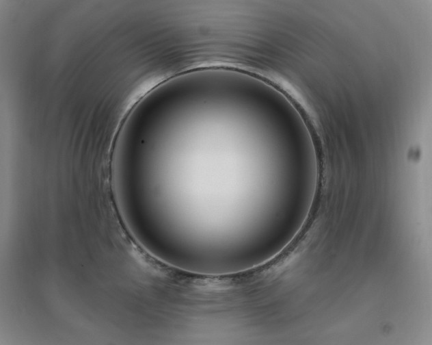 X0000094421145200711151314