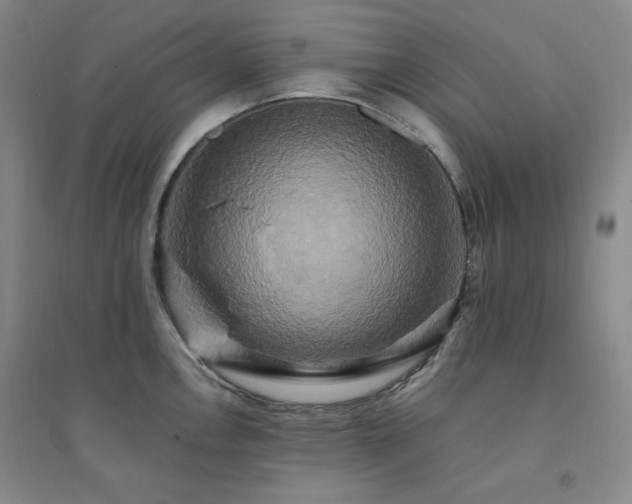 X0000094421146200711151314