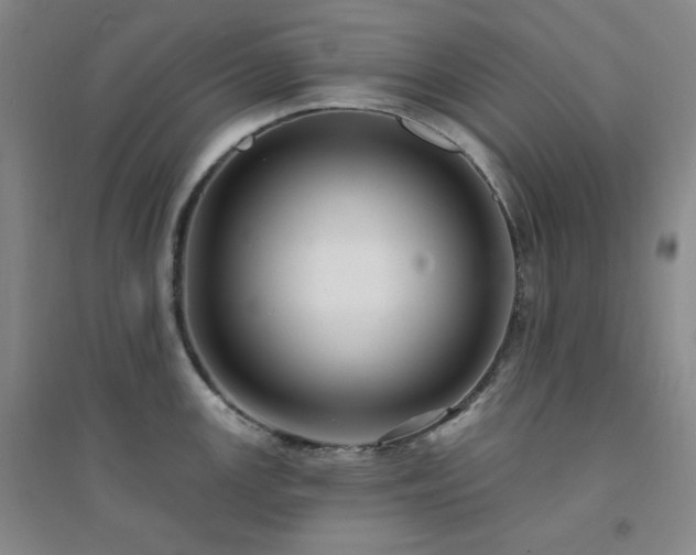 X0000094421147200711151314