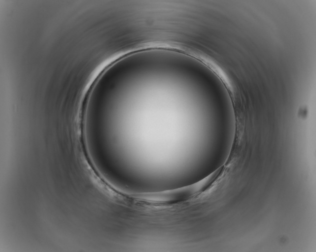 X0000094421148200711151314