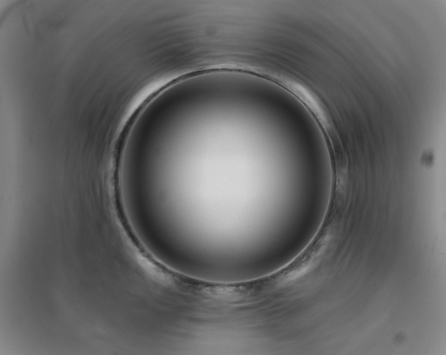 X0000094421149200711151314