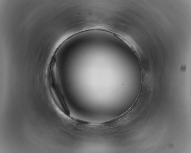X0000094421151200711151314