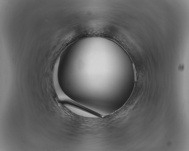 X0000094421153200711151314