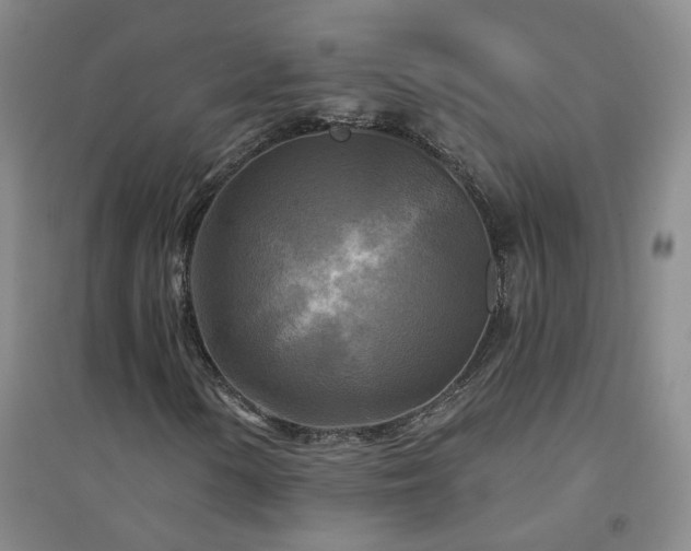 X0000094421154200711151314