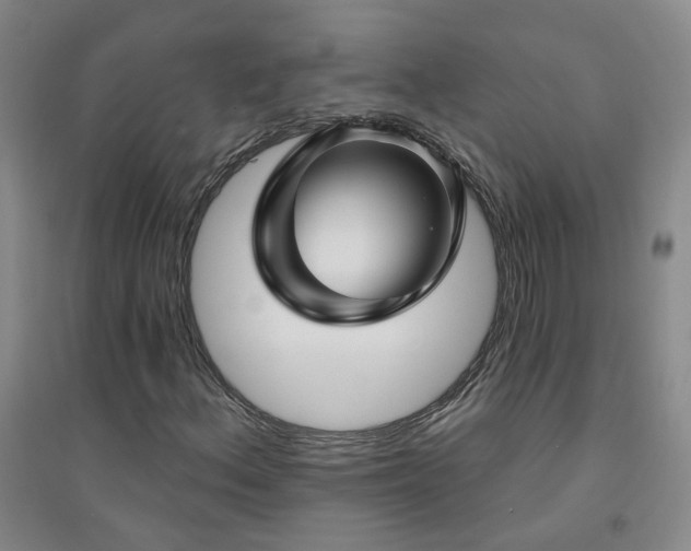 X0000094421156200711151314