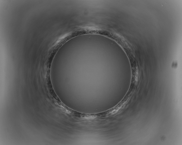 X0000094421157200711151314