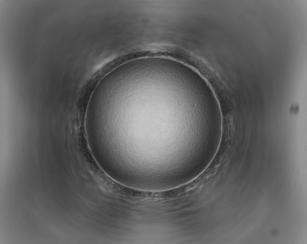X0000094421158200711151314