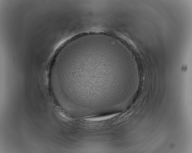 X0000094421160200711151314