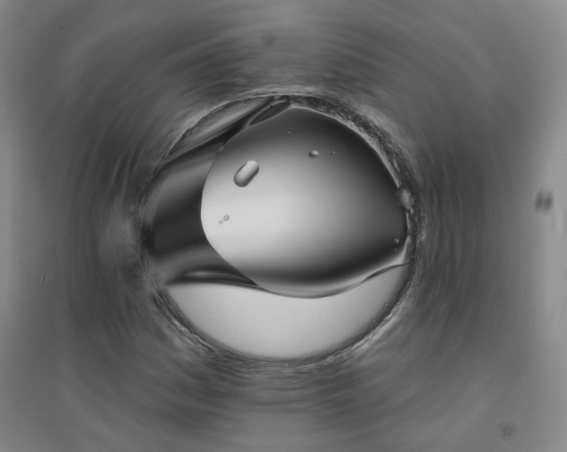 X0000094421161200711151314