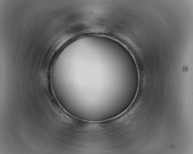 X0000094421162200711151314