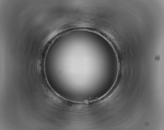 X0000094421163200711151314