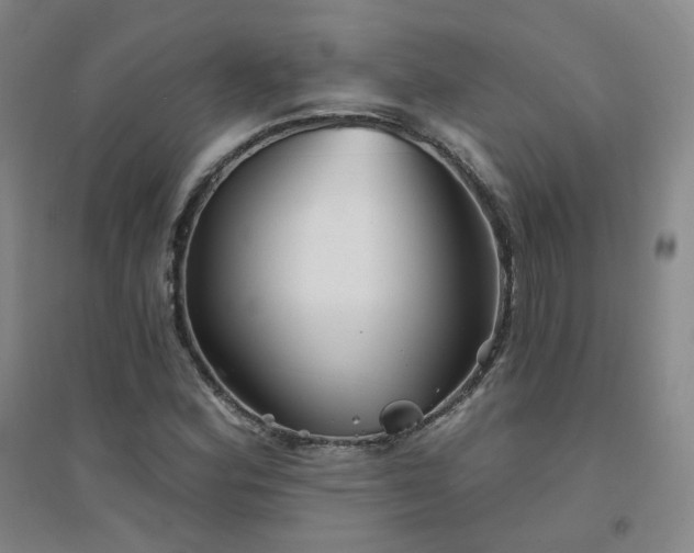 X0000094421164200711151314