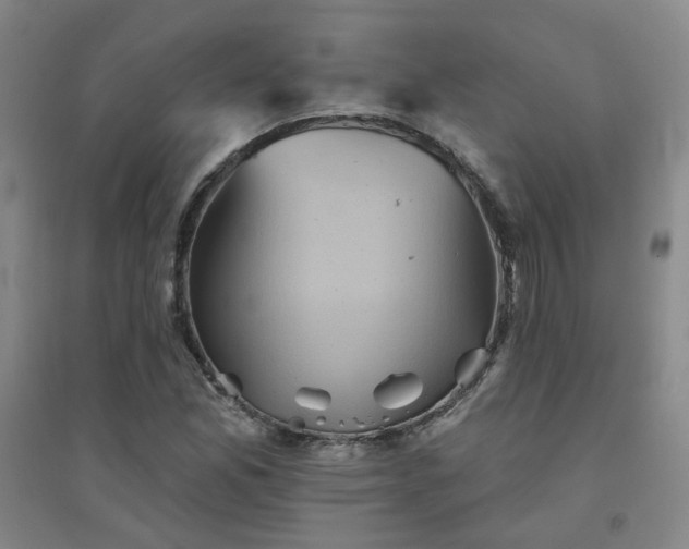 X0000094421165200711151313