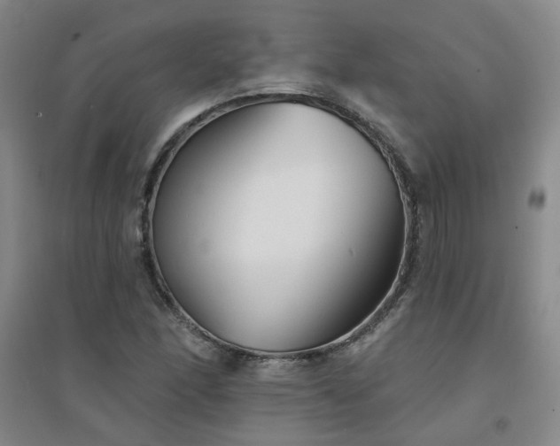 X0000094421166200711151313