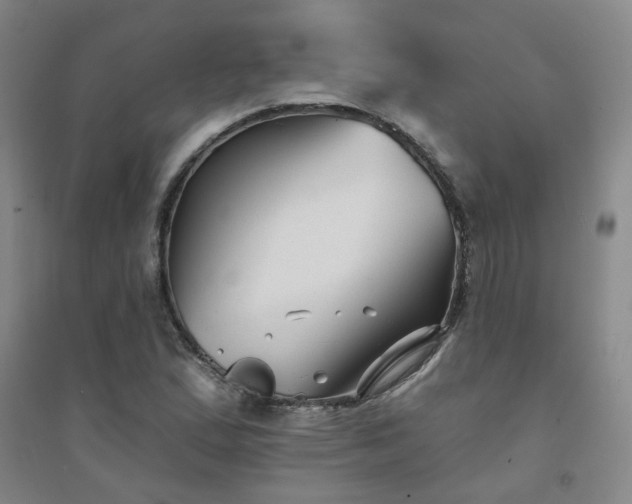 X0000094421167200711151313