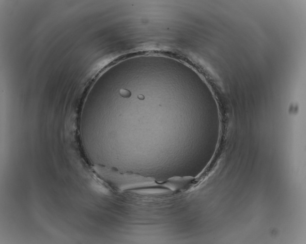X0000094421169200711151313