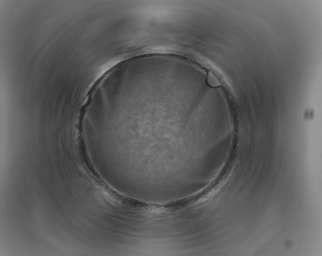 X0000094421170200711151313