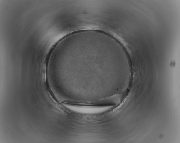 X0000094421171200711151313