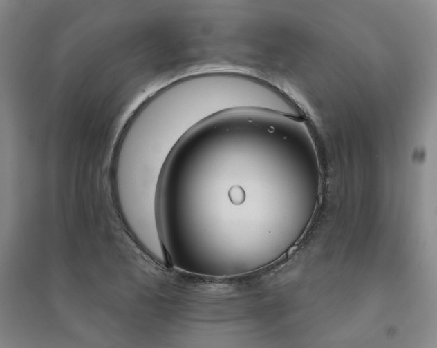 X0000094421173200711151313
