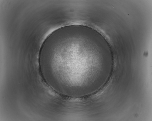 X0000094421174200711151313