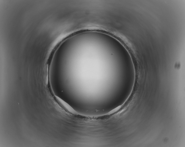X0000094421175200711151313