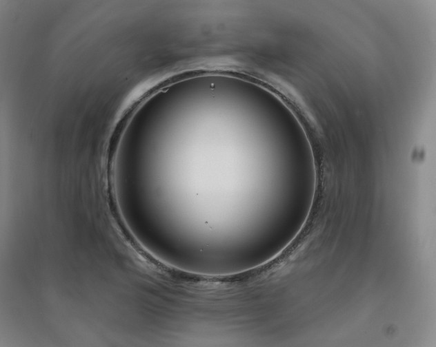 X0000094421176200711151313