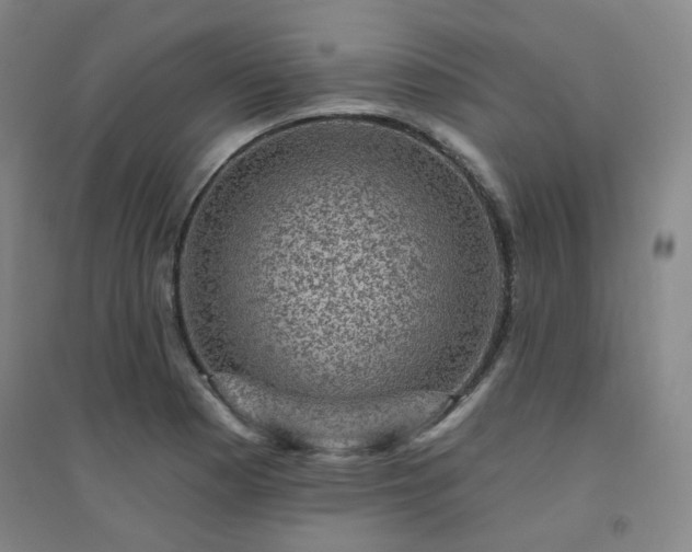 X0000094421177200711151313