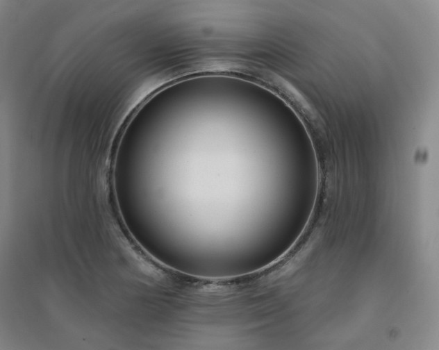 X0000094421178200711151313