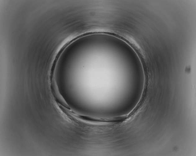 X0000094421181200711151313