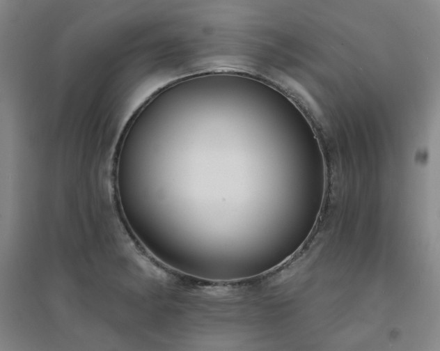X0000094421182200711151313
