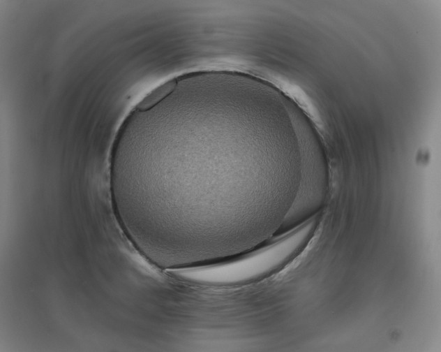 X0000094421184200711151313