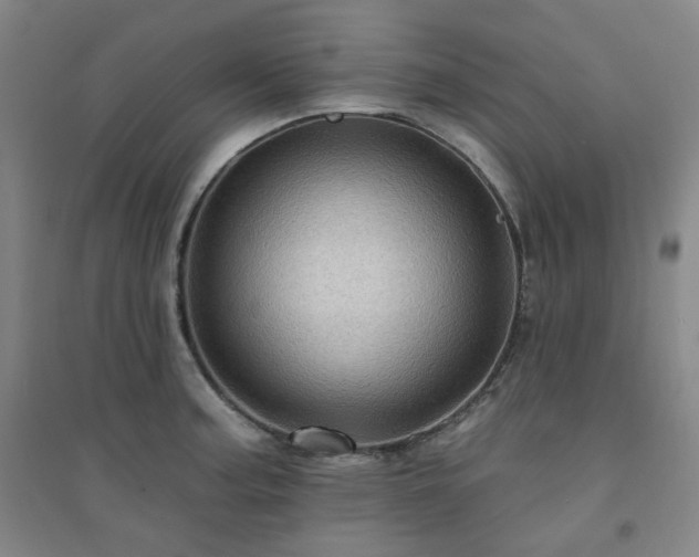 X0000094421187200711151313