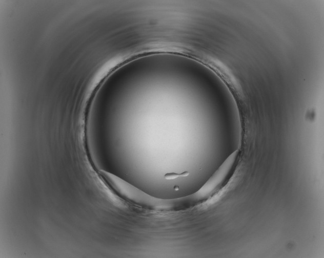X0000094421188200711151313