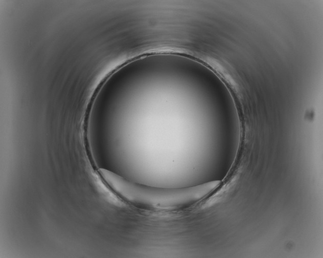 X0000094421189200711151313