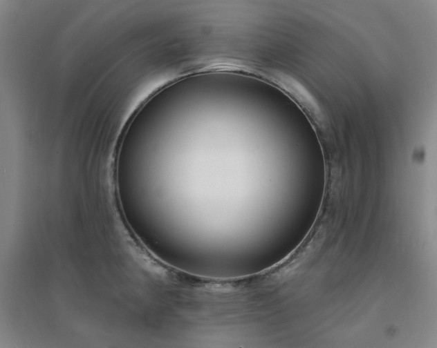 X0000094421190200711151313