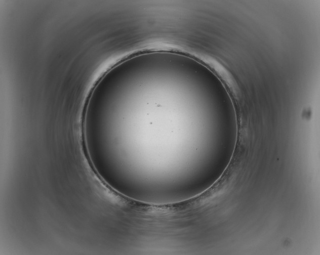 X0000094421191200711151313