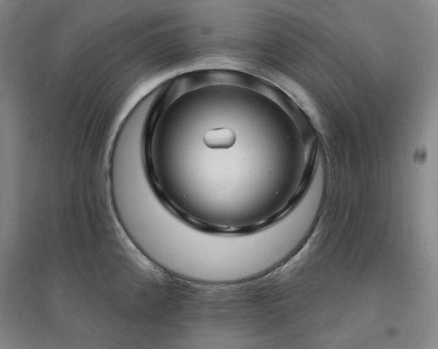 X0000094421192200711151313