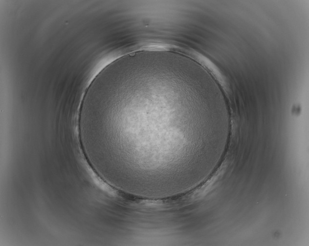 X0000094421194200711151313