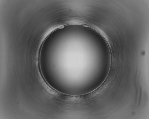 X0000094421195200711151313